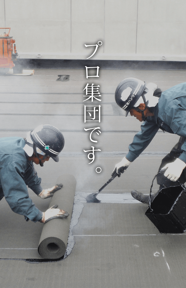 プロ集団です。